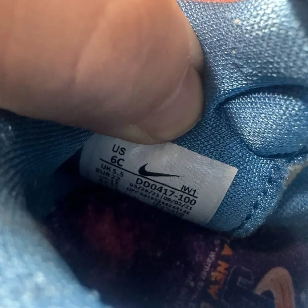 NIKE Lebron 19 TD ‘space Jam’ XIX Toddler Shoe Size 6C DD0417 100 Grey Fog/ Blue